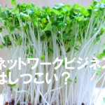 ビオライズというネットワークビジネスの勧誘がしつこいという事実