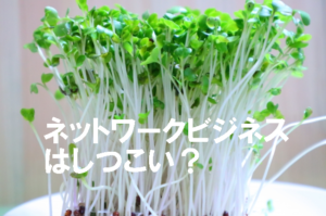 ビオライズというネットワークビジネスの勧誘がしつこいという事実