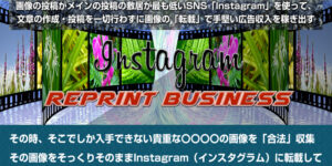 藤井良治のインスタグラム リプリントビジネス(IRB)は違法性ある?検証レビュー