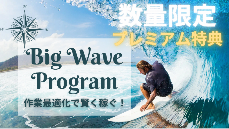 BWP ビッグウェーブプログラム 橋本守 特典 購入