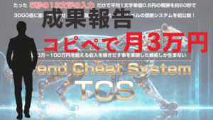 【成果報告】驚異的なTCS(トレンドチートシステム)でコピペだけで月3万円稼いだ!